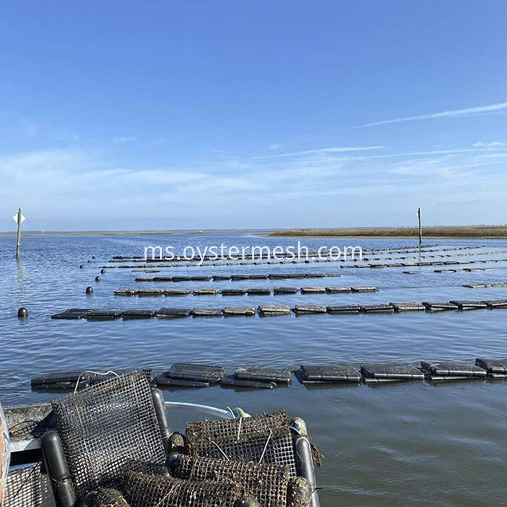 Black HDPE Float for Oyster Bag Usage